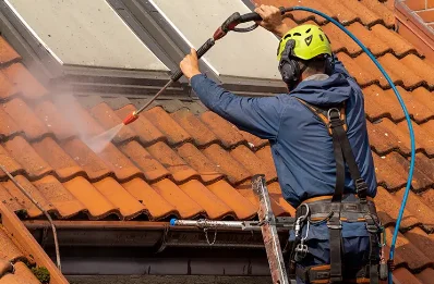 Démoussage et hydrofuge de toiture à Conzieu